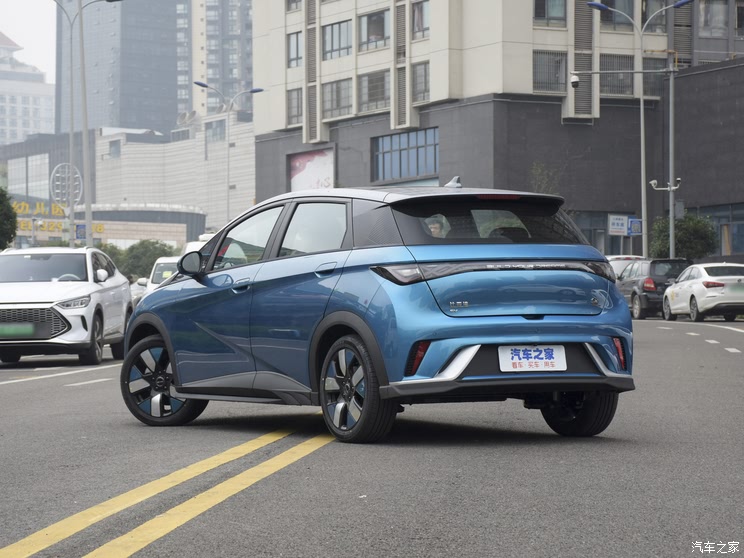 BYD Dolphin 2021 401km Knight Edition