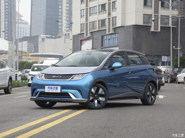 BYD Dolphin 2021 401km Knight Edition