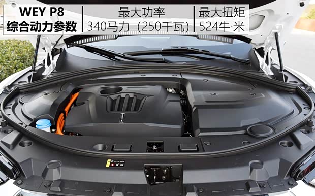 Great Wall Motor WEY P8 2018 2.0T flagship model